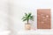 Scandinavian style home interior with a white table or workspace, green palm in pot, and pegboard with inspiring phrase,