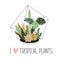 Scandinavian style illustration, home decor. Vector print design with terrarium and lettering - `I love tropical plants`.