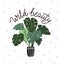 Scandinavian style illustration with monstera, vector print design with lettering - `wild beauty`.
