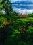 Scandinavian vertical landscape moss with pier