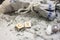 Scandinavian wooden rune Kenaz and Gebo on a rough linen cloth with amethyst crystalline, rock crystal and dried wormwood