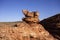 Scant vegetation king Canyon Northern Territory Australia