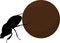 Scarab beetle with big manure ball