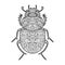 Scarab beetle coloring book for adults vector