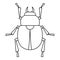 Scarab beetle icon, outline style