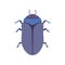 Scarab Beetle Insect, Bug Top View Vector Illustration