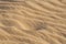 Scarab foot marks in the desert.