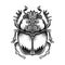 Scarabaeus sacer, Dung beetle. Sacred symbol of in ancient Egypt. Fantasy ornate insects. Isolated vector illustration