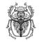 Scarabaeus sacer, Dung beetle. Sacred symbol of in ancient Egypt. Fantasy ornate insects. Isolated vector illustration