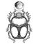 Scarabaeus sacer, Dung beetle. Sacred symbol of in ancient Egypt. Fantasy ornate insects. Isolated vector illustration