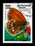 Scarce Heath Coenonympha hero, Butterflies serie, circa 1999