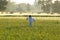 Scare Crow in Wheat Field.