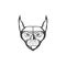 Scare face caracal cat logo design vector graphic symbol icon sign illustration creative idea