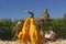 Scarecrow and Decorative Pumpkin with Blue Green corn and Blue sky