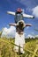 Scarecrow in field in Chiang Mai Thailand