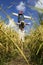 Scarecrow in field in Chiang Mai Thailand