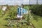 Scarecrow Guarding Allotment