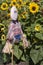 Scarecrow Guarding the Sunflowers at Adelaide Botanic Garden