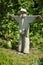 Scarecrow guarding a watermelon patch