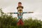 A scarecrow hanging over cultivated land, Scarecrow protecting t