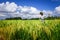 Scarecrow in Jatiluwih paddy field rice terraces, Bali, Indonesia