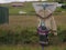 Scarecrow made with clothes to cover a traffic signal