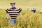 Scarecrow on the rice field