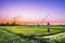 Scarecrow in rice field on sunset background