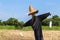 Scarecrow or strawman in demonstrated rice filed