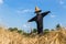 Scarecrow or strawman in demonstrated rice filed