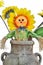 Scarecrow sunflower