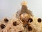 Scarecrow up close sitting on a pile of hay with little brown pine cones scattered around, with a white background.  Festive fall