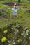 Scarecrow in a vegetable garden in a countryside