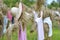 Scarecrow wearing colorful variety in the field of rural Thailand.