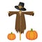 Scarecrow wearing piligrim hat. vector illustration for thanksgiving day