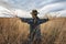 The scarecrow in the wheat field