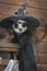 scarecrow in witch hat with black