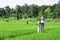 Scarecrows standing at green rice field with forest and blue sky background