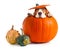 Scared beagle in pumpkin .