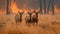 Scared deers family runs away from grassland fire, largest prairie wildfire natural disaster