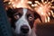 Scared dog with fireworks. Generative AI