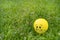 Scared emoji face on a yellow balloon laying on the green grass