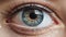 Scared Eyes: Hyperrealistic Painting Of A Woman\\\'s Eye