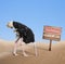 Scared ostrich with head in sand near warning quarantine wooden signboard.