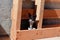 Scared, stray kitty hiding in wood pallet