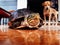 Scared turtle keeps head in shell with curious dog look from behind