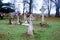 Scarey grave yard with crosses as head stones photograph