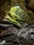 Scarisoara cave, Apuseni Mountains, Romania