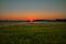 Scarlet dawn, soft colors, field, forest, sun, summer