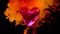 Scarlet heart on a sparkling fiery background.